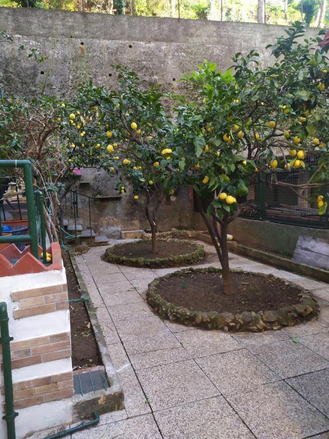Oparavisegenova エクステリア 写真